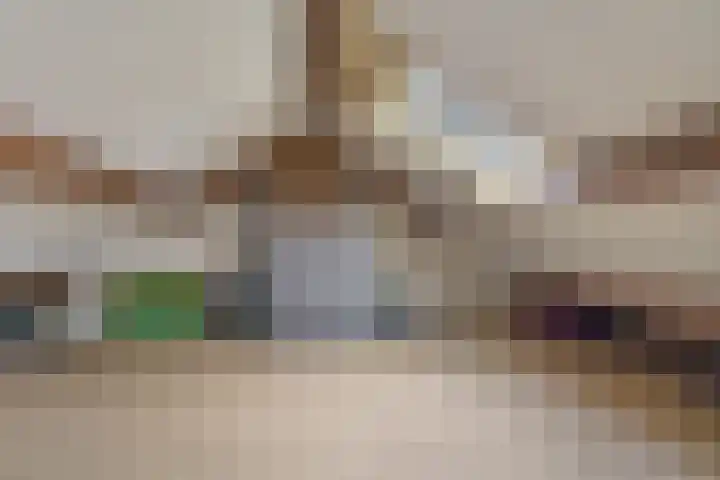 van Halllaan 8 Nieuwegein thumbnail 23