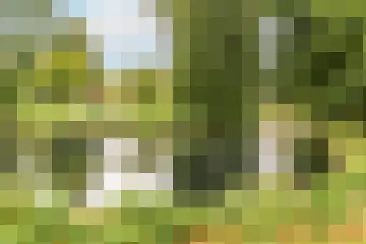 van Halllaan 8 Nieuwegein thumbnail 25