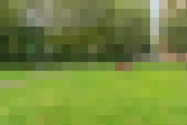 van Halllaan 8 Nieuwegein thumbnail 26