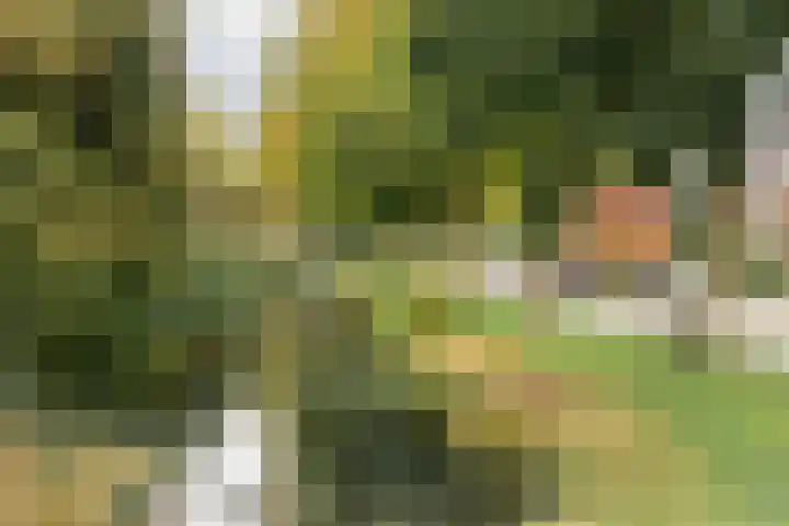 van Halllaan 8 Nieuwegein thumbnail 27