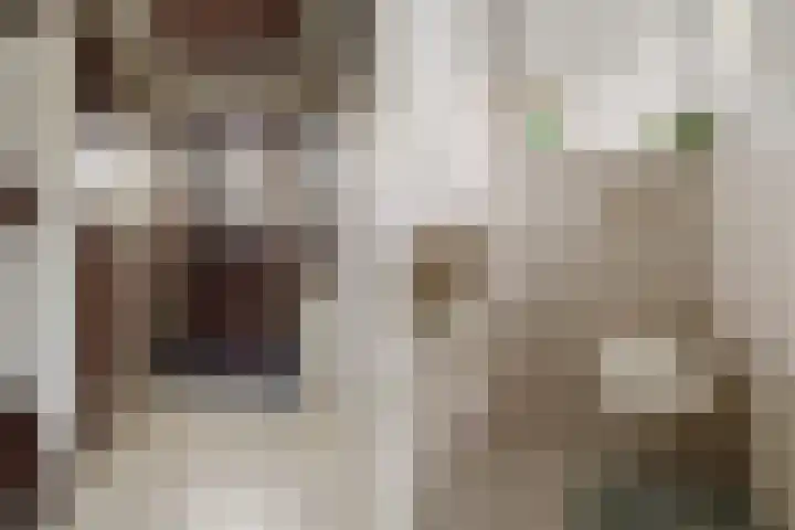 van Halllaan 8 Nieuwegein thumbnail 6