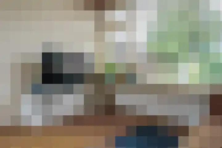van Halllaan 8 Nieuwegein thumbnail 9