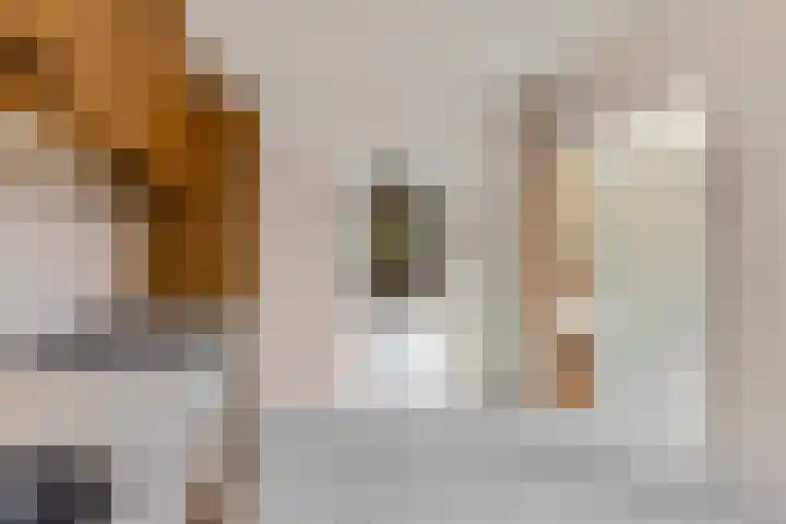 Van Hallstraat 10 Elst thumbnail 11