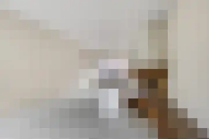 Van Hallstraat 10 Elst thumbnail 15