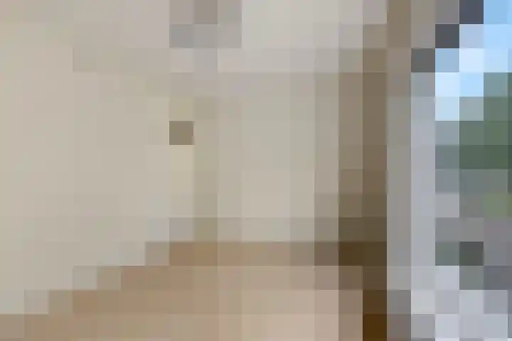 Van Hallstraat 10 Elst thumbnail 20