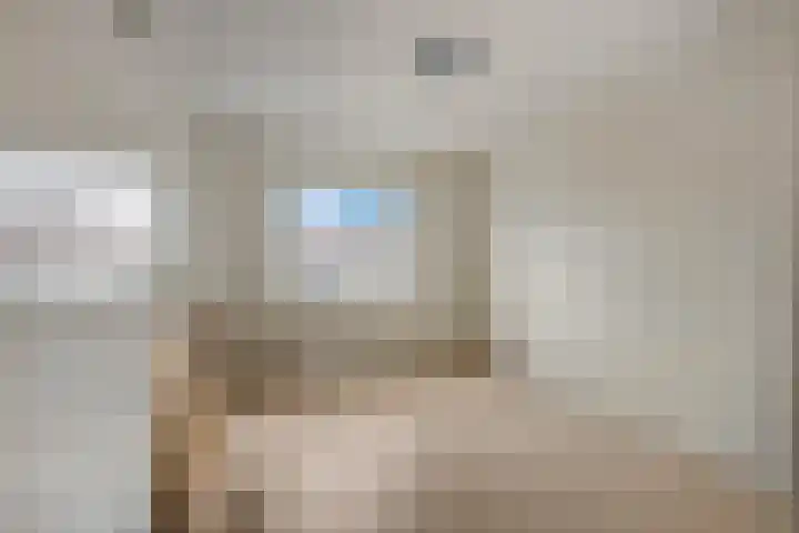 Van Hallstraat 10 Elst thumbnail 24