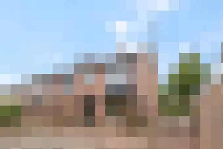Van Hallstraat 10 Elst thumbnail 26