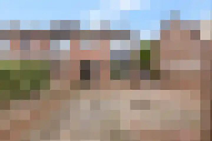 Van Hallstraat 10 Elst thumbnail 27