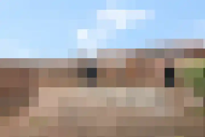 Van Hallstraat 10 Elst thumbnail 30