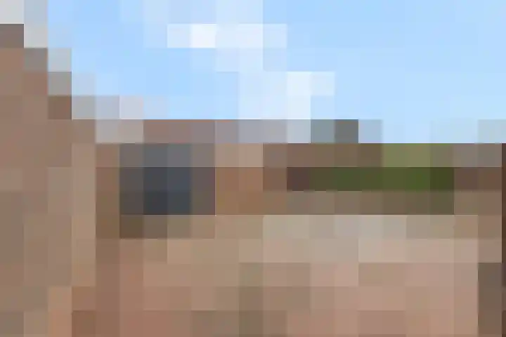 Van Hallstraat 10 Elst thumbnail 31