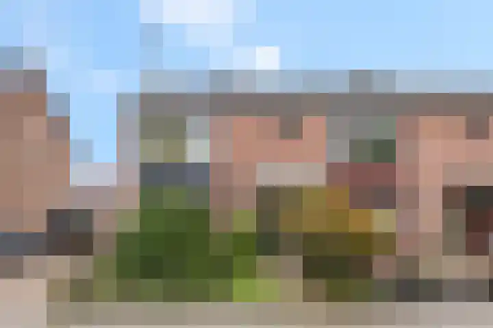 Van Hallstraat 10 Elst thumbnail 33