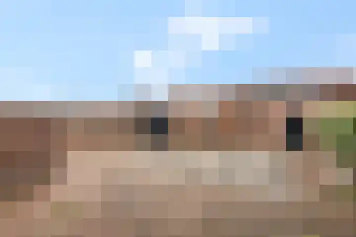 Van Hallstraat 10 Elst thumbnail 4