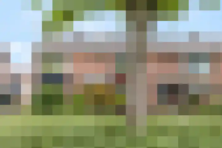 Van Hallstraat 10 Elst thumbnail 5