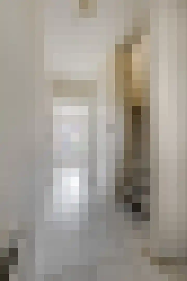 Van Hallstraat 10 Elst thumbnail 6