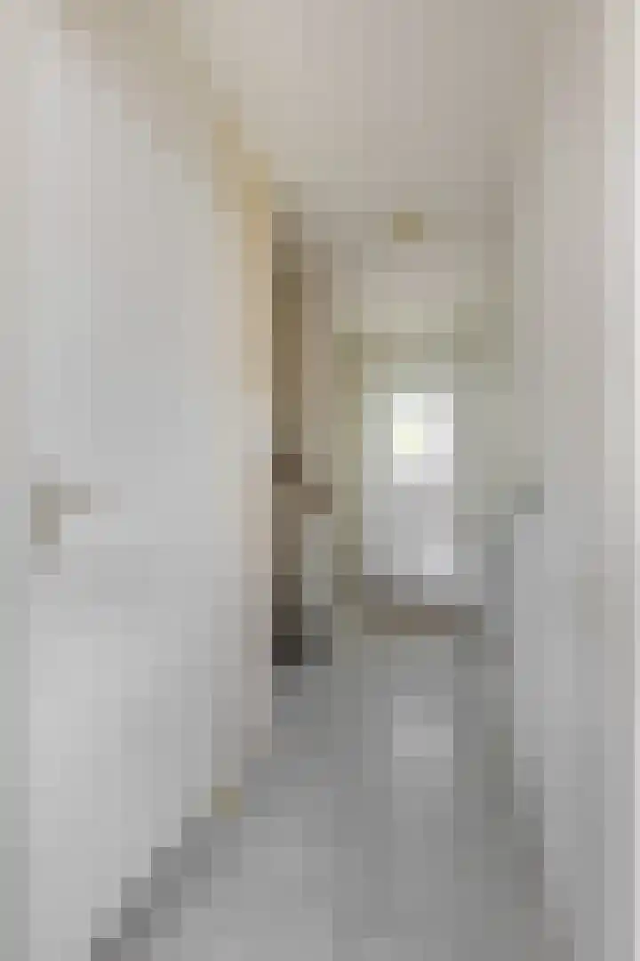 Van Hallstraat 10 Elst thumbnail 8