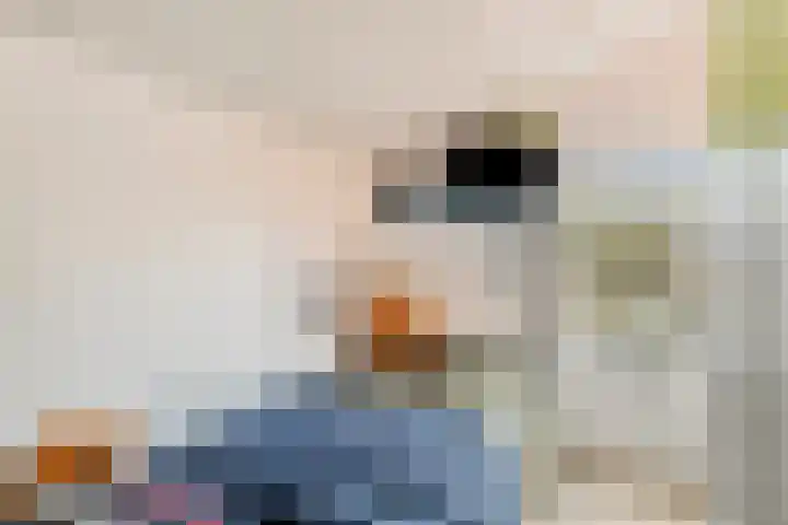 Van Hallstraat 12 Goes thumbnail 24