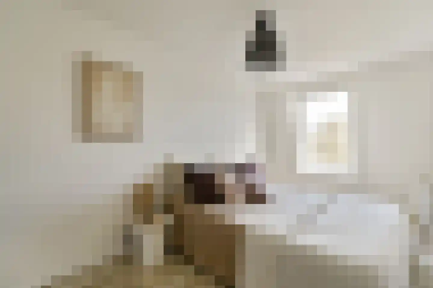 Van Hallstraat 17 B Amsterdam thumbnail 18
