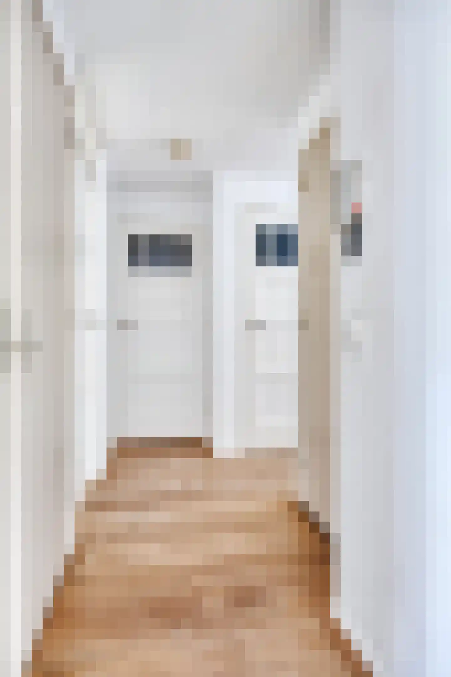 Van Hallstraat 19 3 Amsterdam thumbnail 15