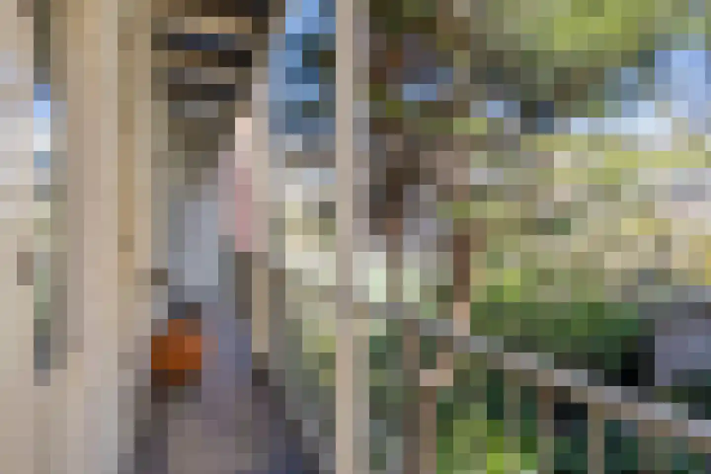Van Hallstraat 19 3 Amsterdam thumbnail 7