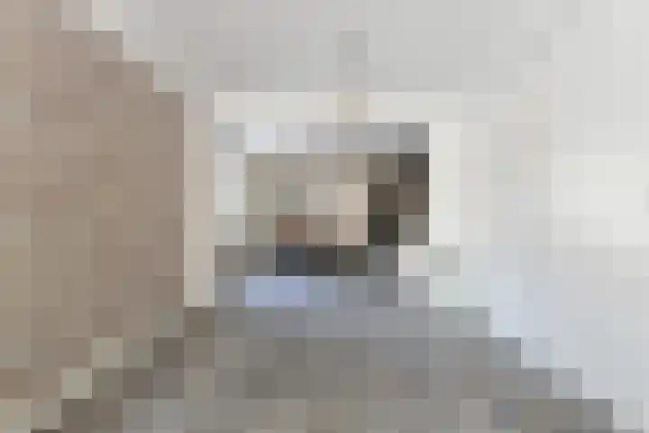Van Hallstraat 19 Dordrecht thumbnail 9