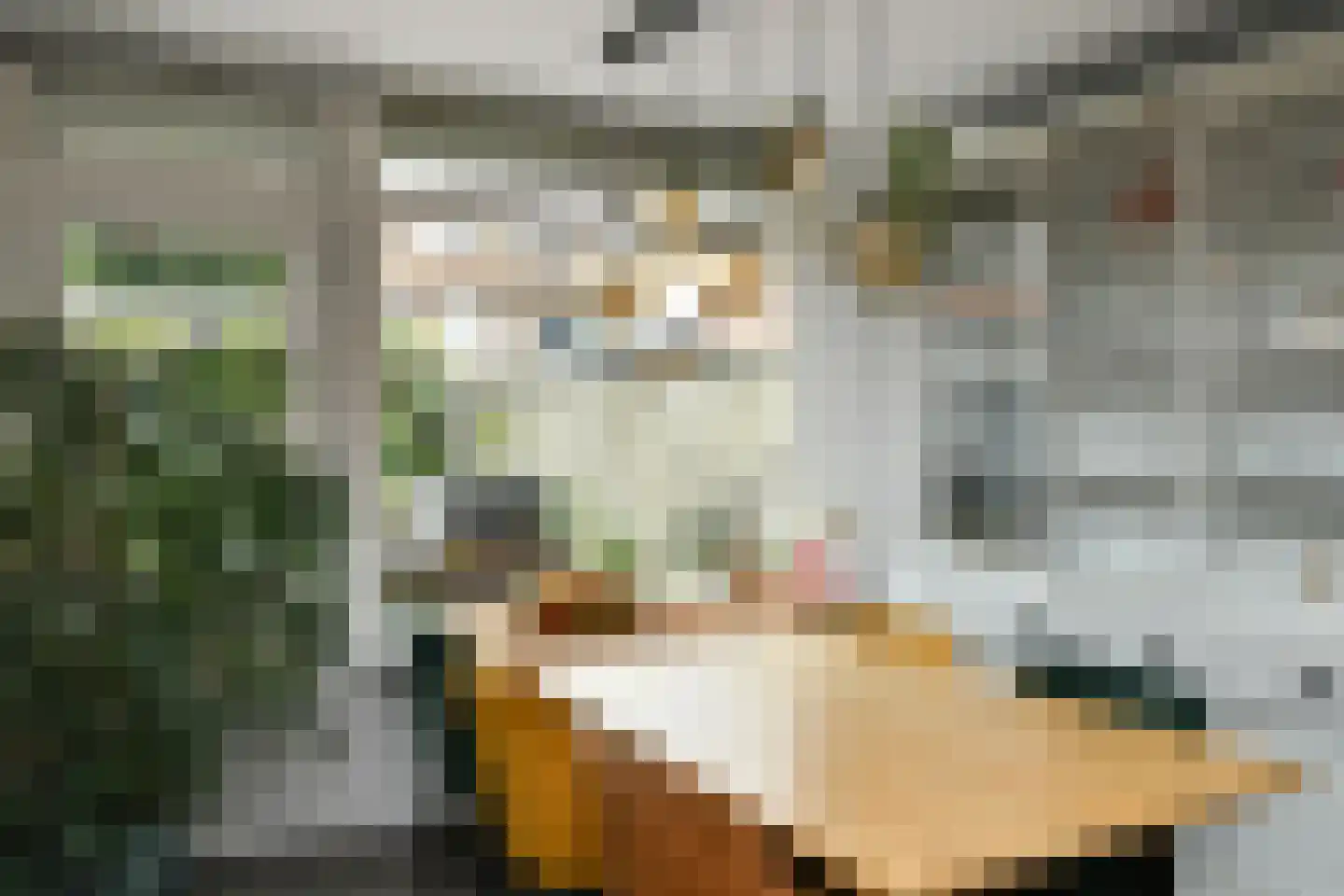 Van Hallstraat 20 Elst thumbnail 11