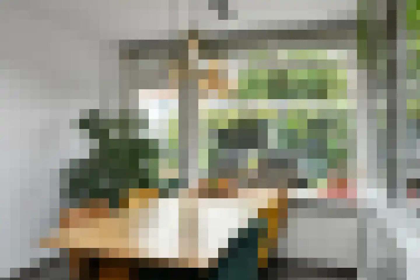 Van Hallstraat 20 Elst thumbnail 12