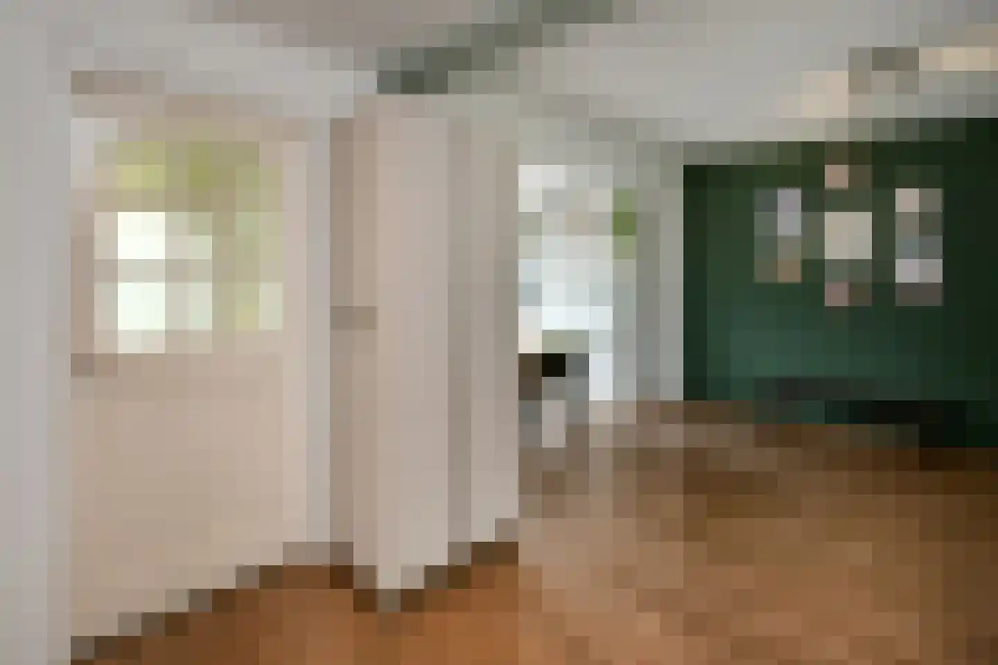 Van Hallstraat 20 Elst thumbnail 17
