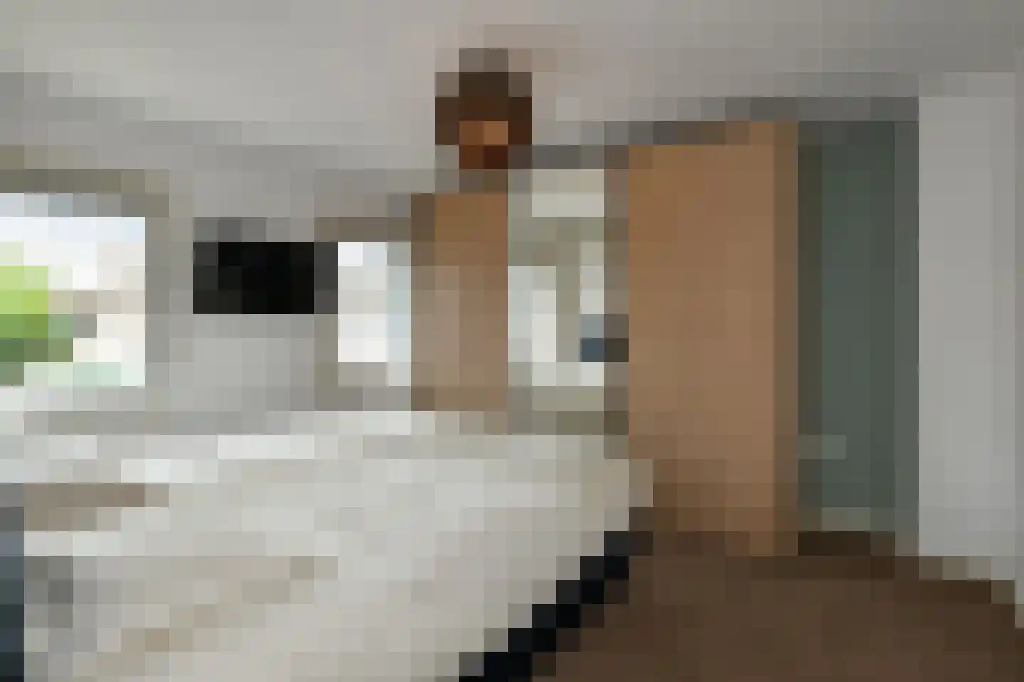 Van Hallstraat 20 Elst thumbnail 20