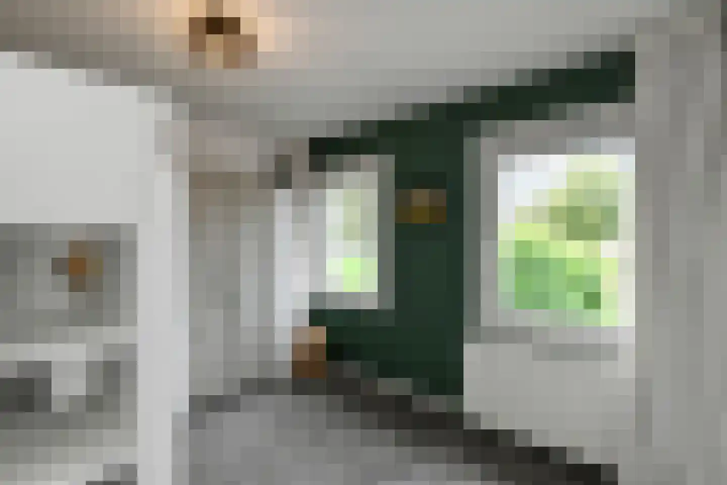 Van Hallstraat 20 Elst thumbnail 24