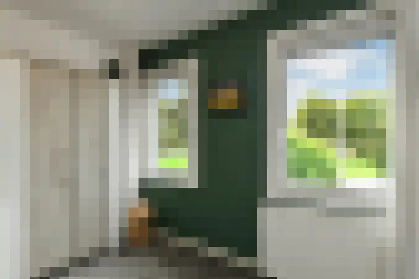 Van Hallstraat 20 Elst thumbnail 25