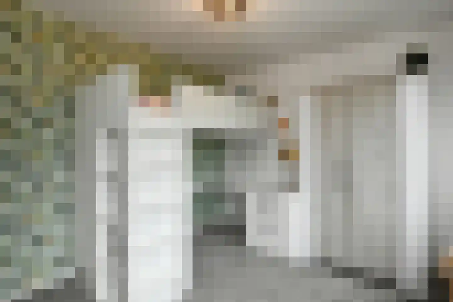 Van Hallstraat 20 Elst thumbnail 26