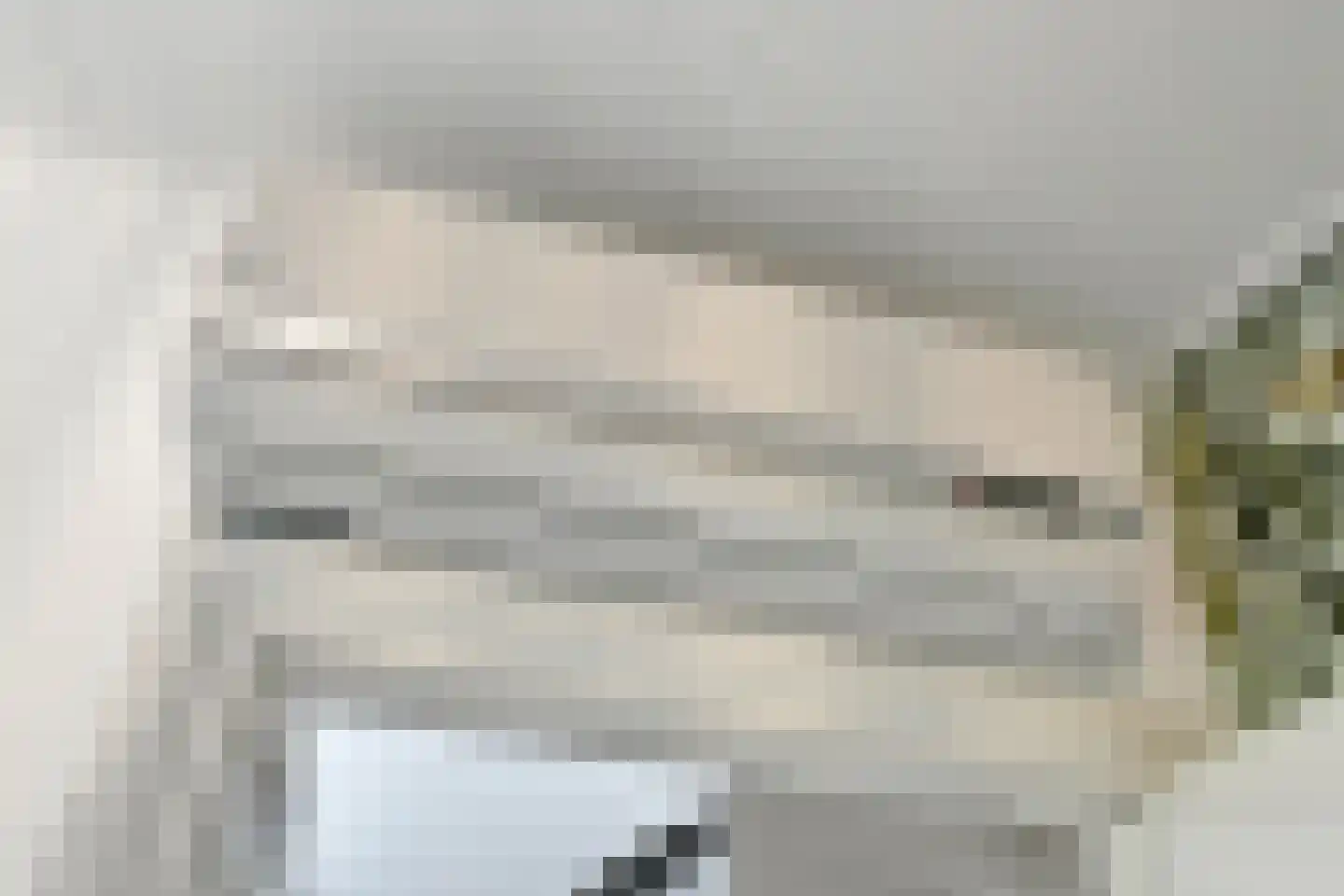 Van Hallstraat 20 Elst thumbnail 27