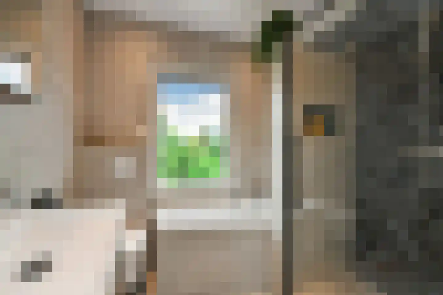 Van Hallstraat 20 Elst thumbnail 28