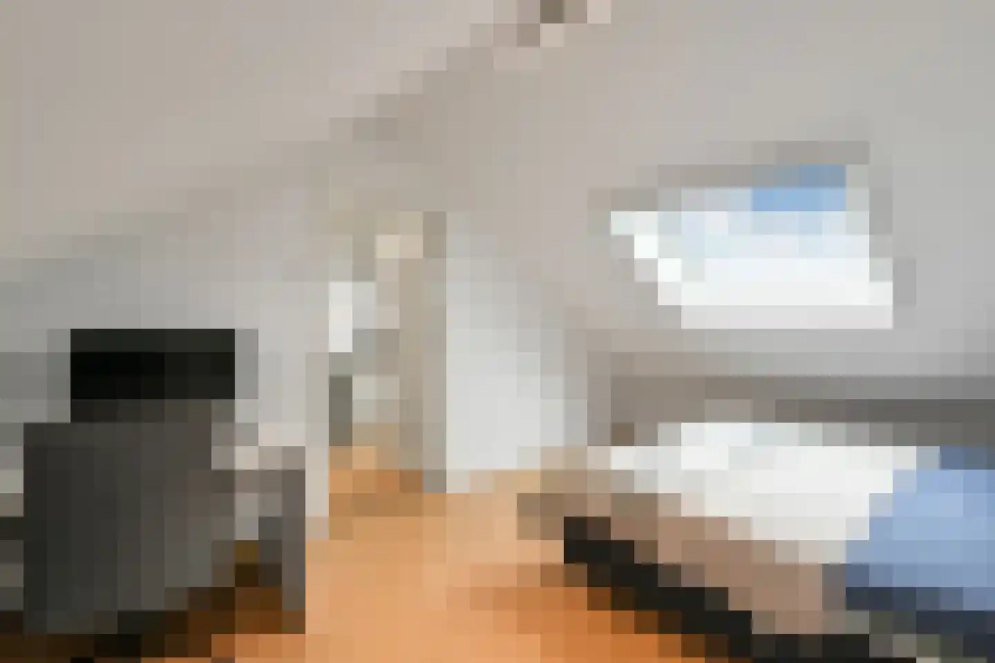 Van Hallstraat 20 Elst thumbnail 35
