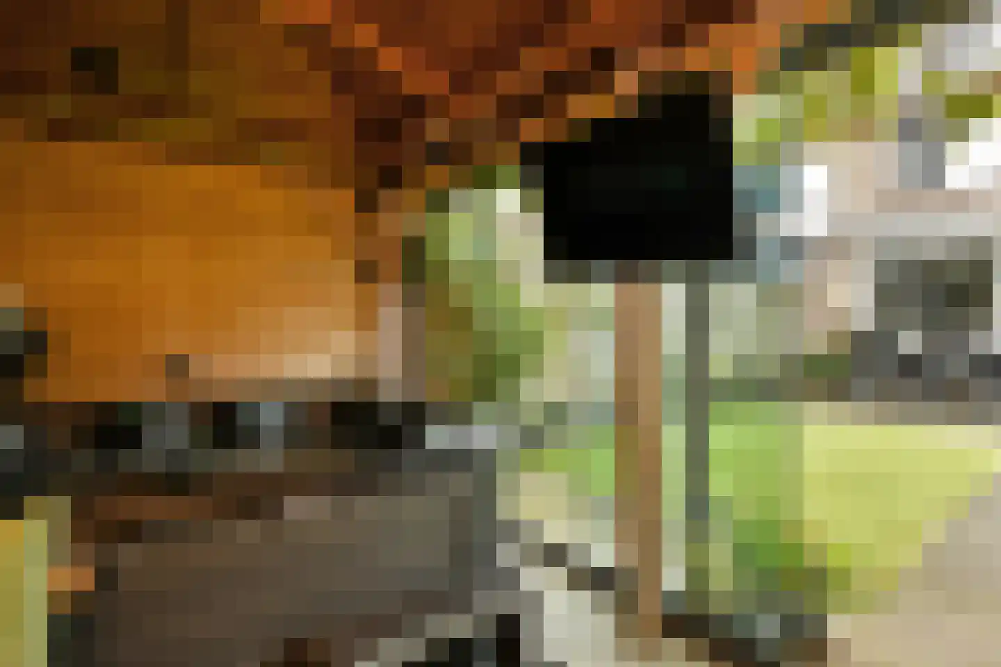 Van Hallstraat 20 Elst thumbnail 39