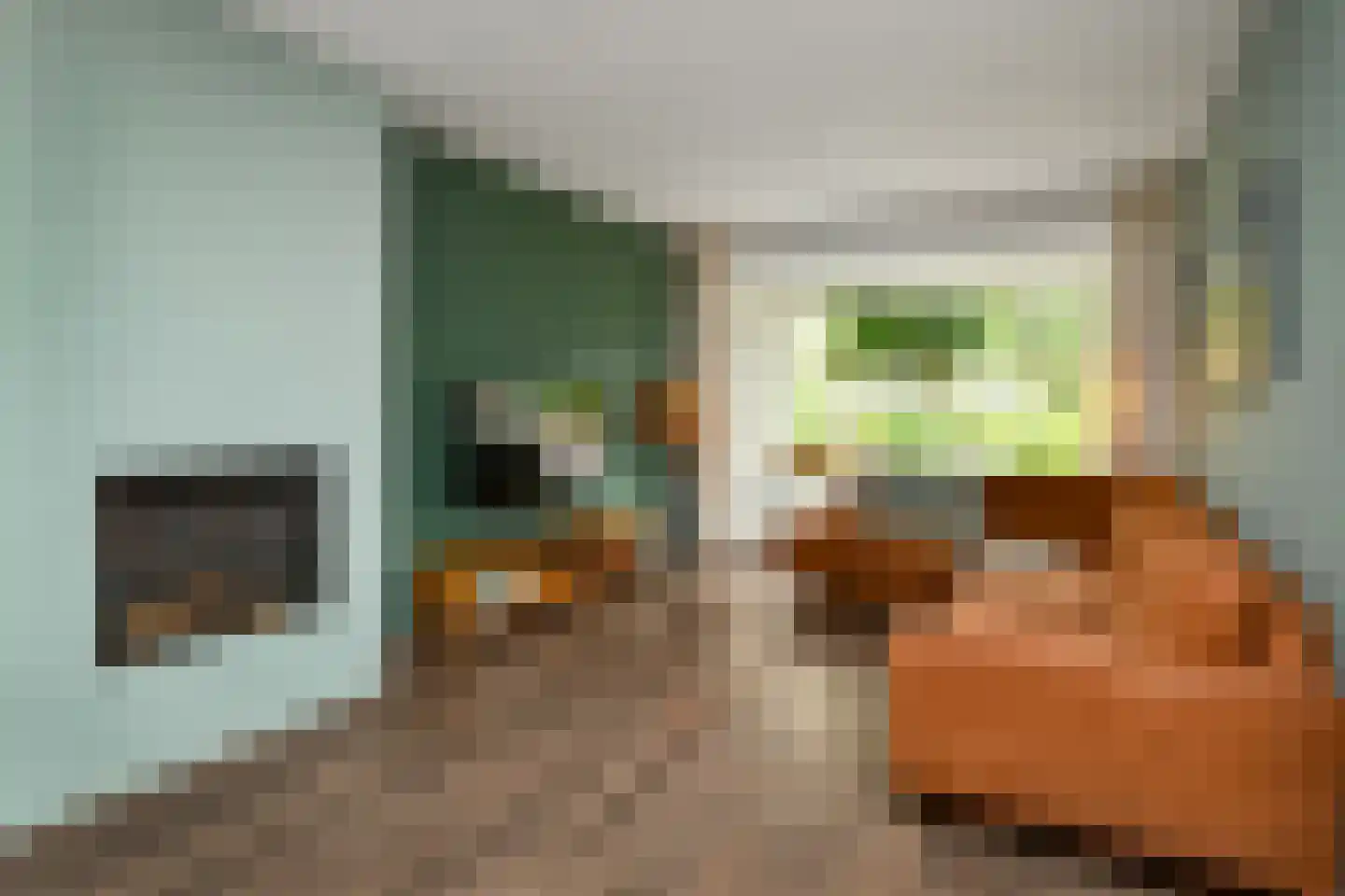Van Hallstraat 20 Elst thumbnail 6