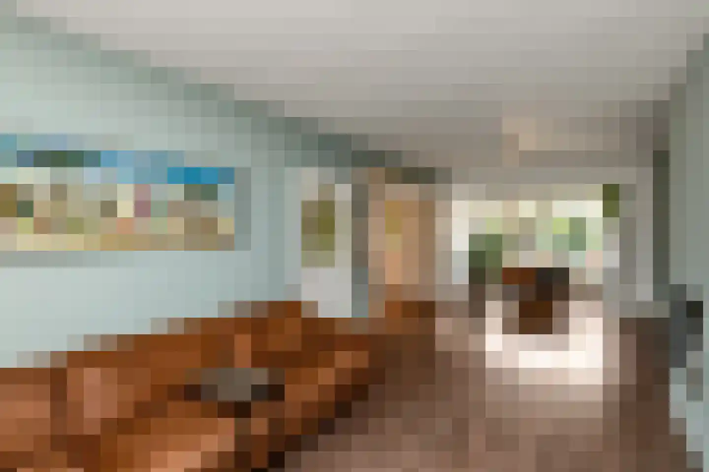 Van Hallstraat 20 Elst thumbnail 8