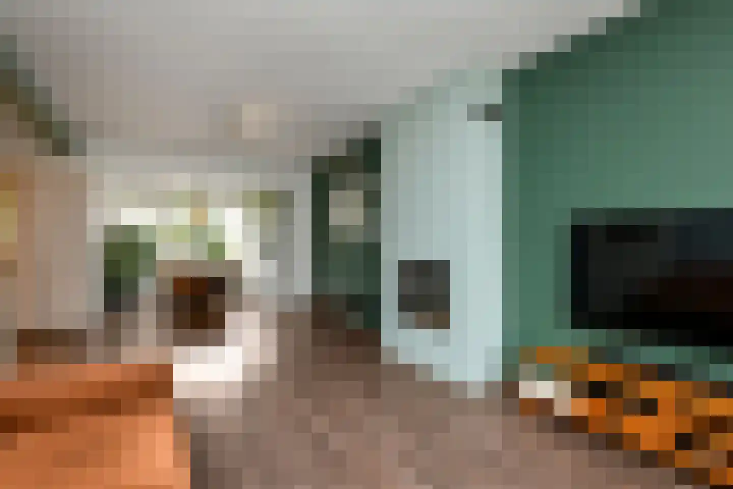 Van Hallstraat 20 Elst thumbnail 9