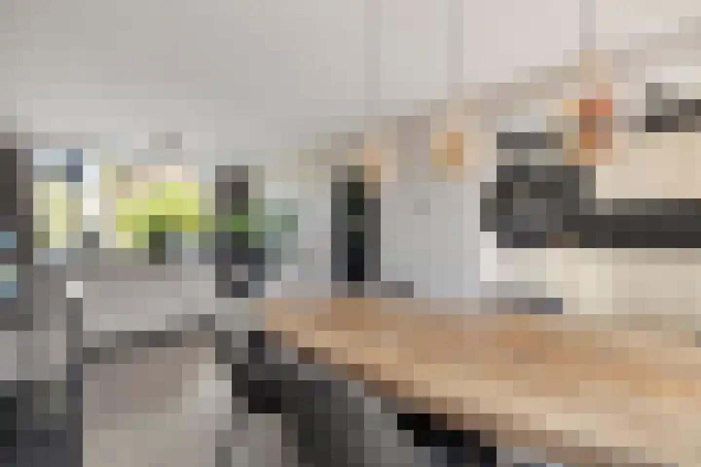 Van Hallstraat 22 Nunspeet thumbnail 18