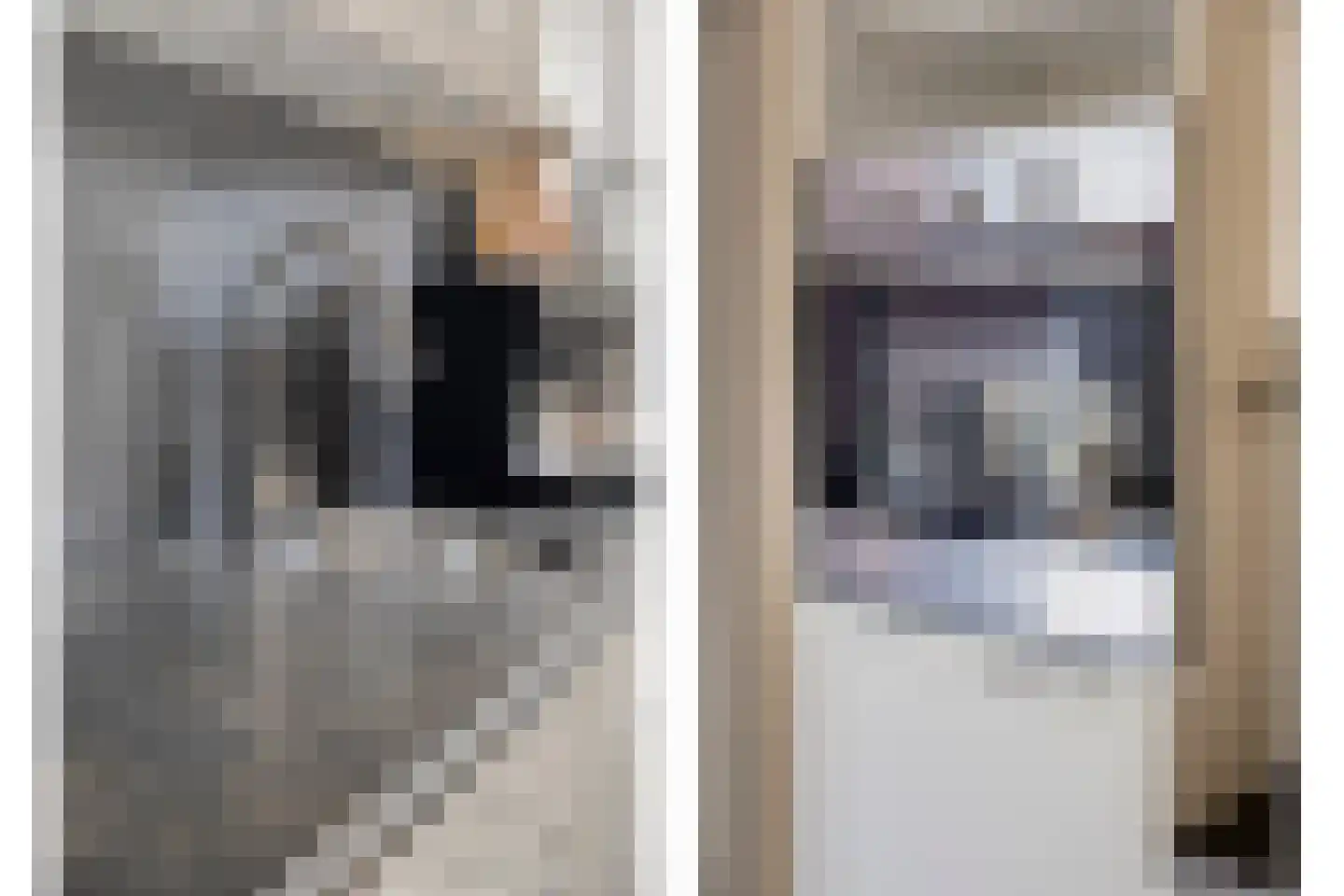 Van Hallstraat 22 Nunspeet thumbnail 22