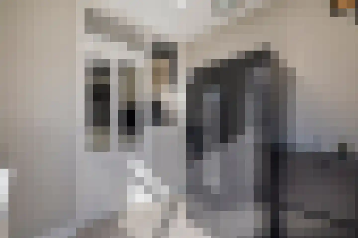 Van Hallstraat 22 Nunspeet thumbnail 24