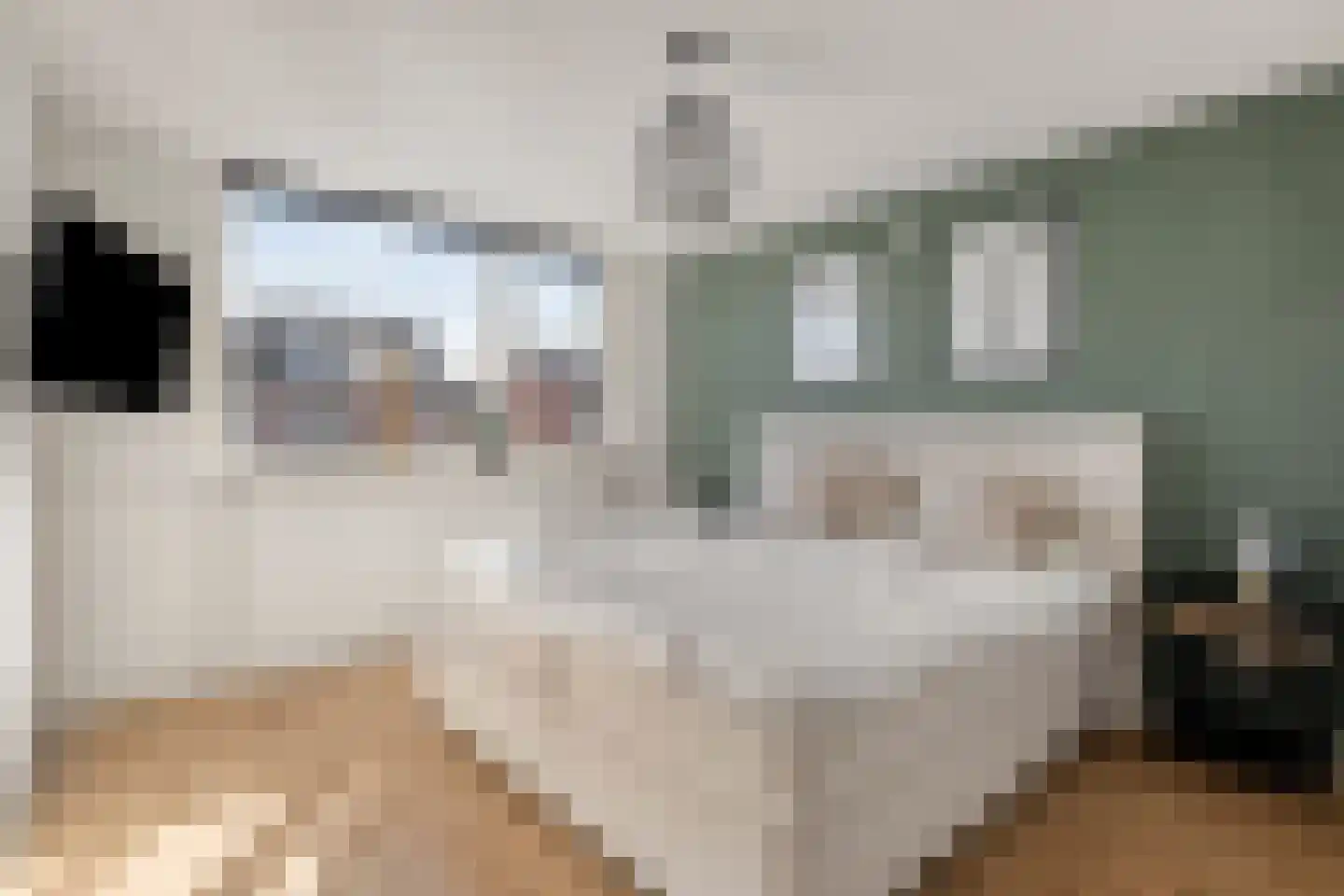 Van Hallstraat 22 Nunspeet thumbnail 26