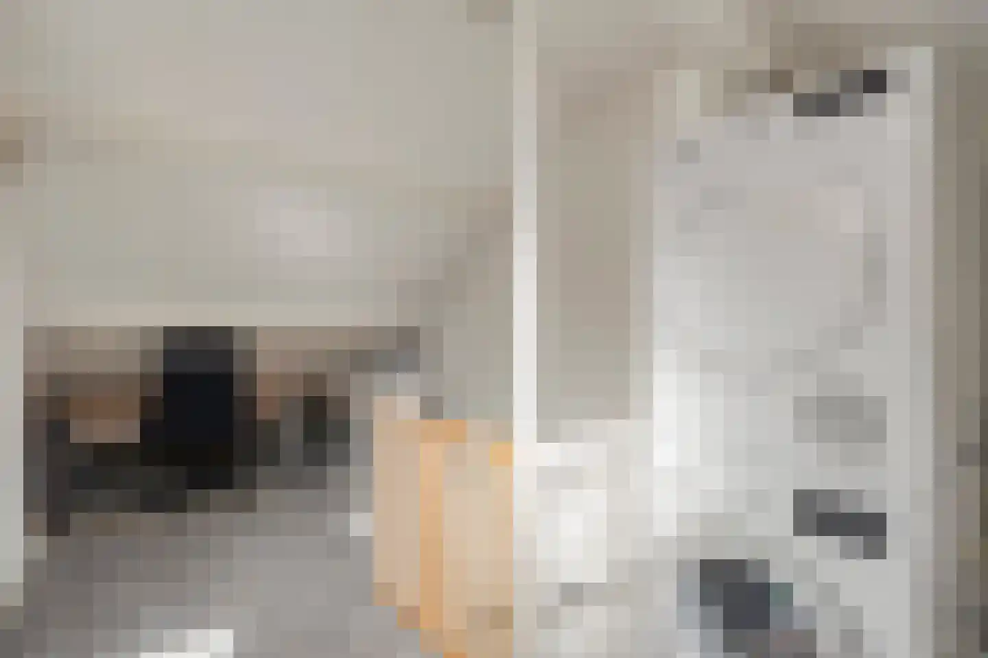 Van Hallstraat 22 Nunspeet thumbnail 35