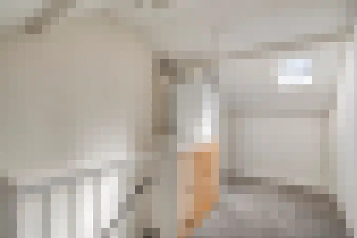 Van Hallstraat 22 Nunspeet thumbnail 36