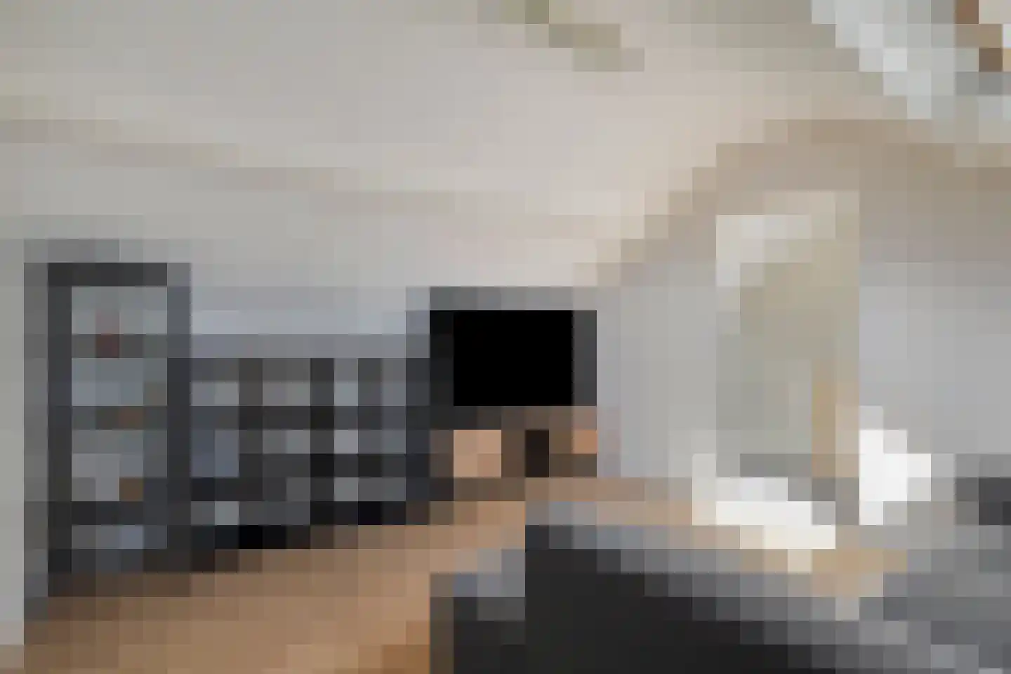 Van Hallstraat 22 Nunspeet thumbnail 38