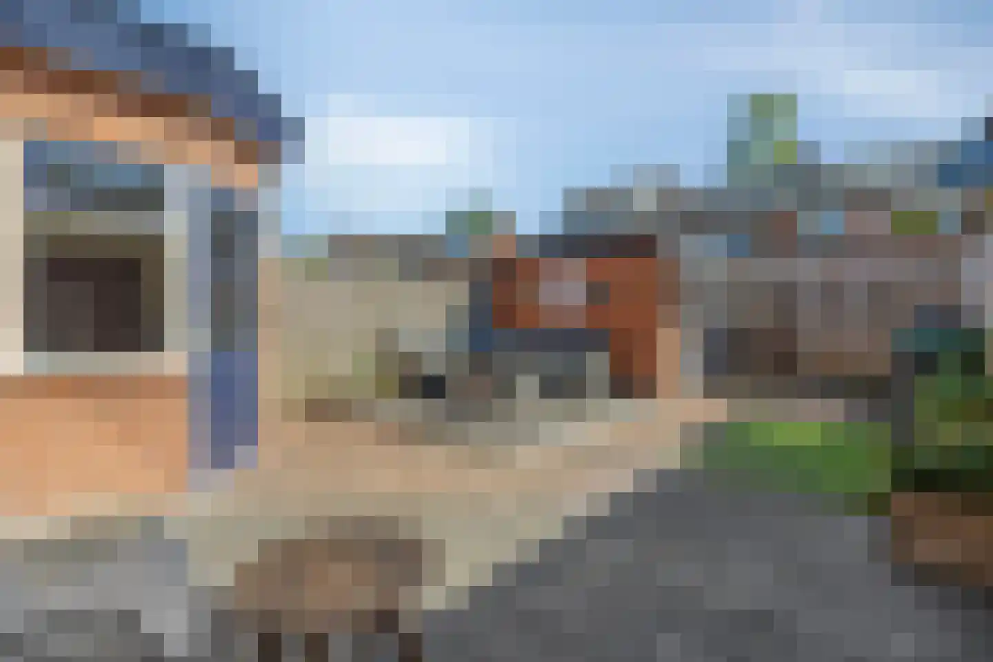 Van Hallstraat 22 Nunspeet thumbnail 4