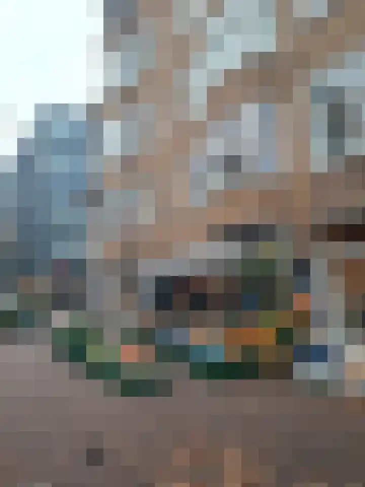 Van Hallstraat 230 Amsterdam thumbnail 29