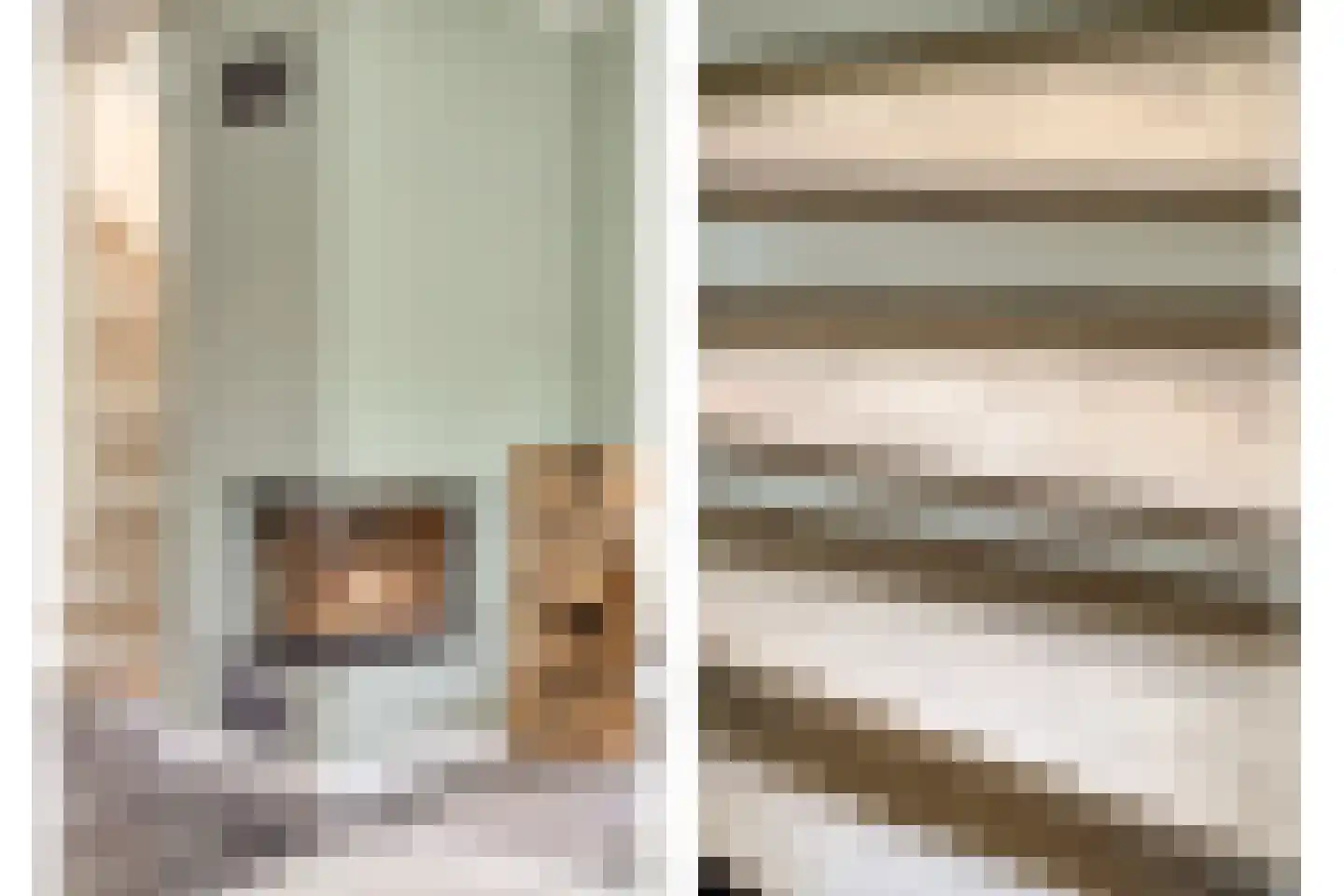 Van Hallstraat 24 Goes thumbnail 13