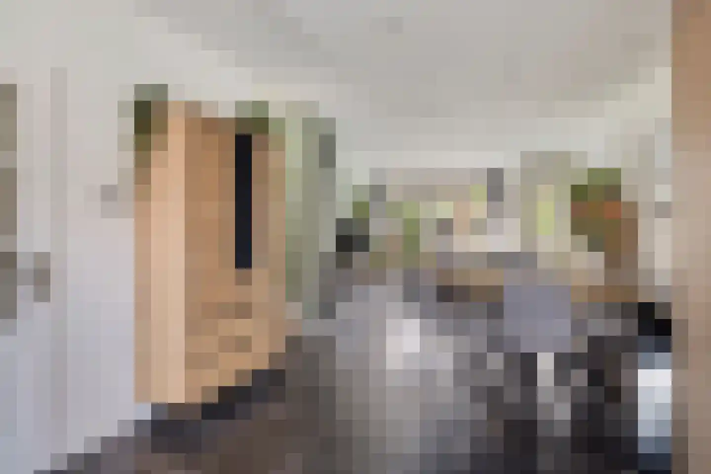 Van Hallstraat 24 Goes thumbnail 17