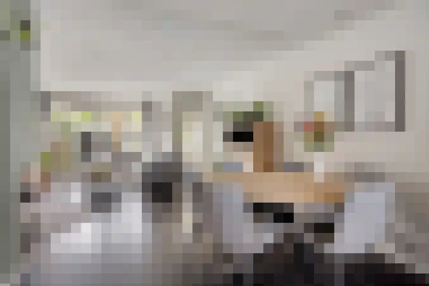 Van Hallstraat 24 Goes thumbnail 19